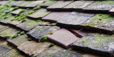 Rogiet roof repair costs